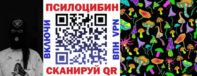 цена наркотик Балей Галлюциногенные грибы Psilocybe