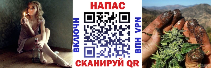 Конопля семена  где купить наркоту  Балей 